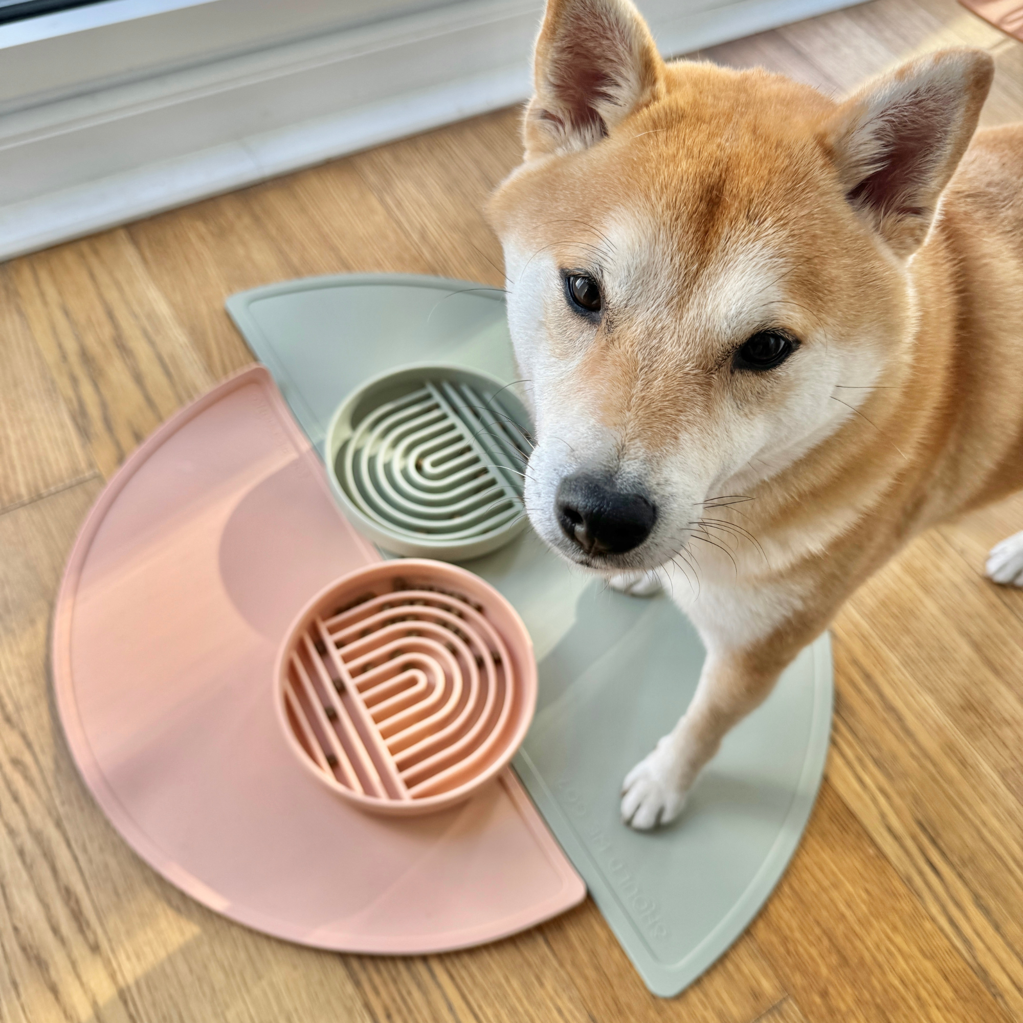 The Large Half Moon Mat: Silicone Dog Food Mat