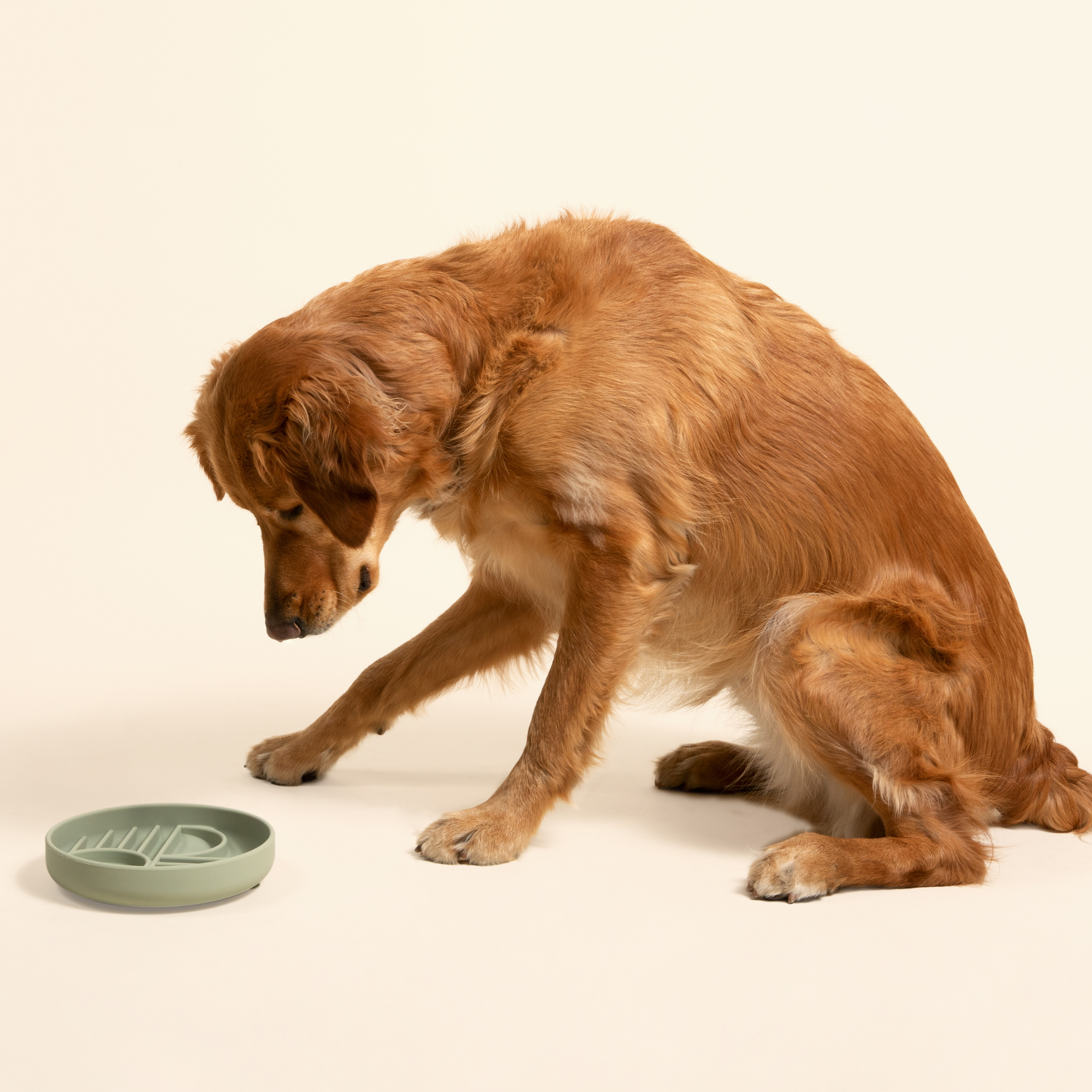 The Medium Sunset Bowl: Slow Feeder &amp; Lick Mat