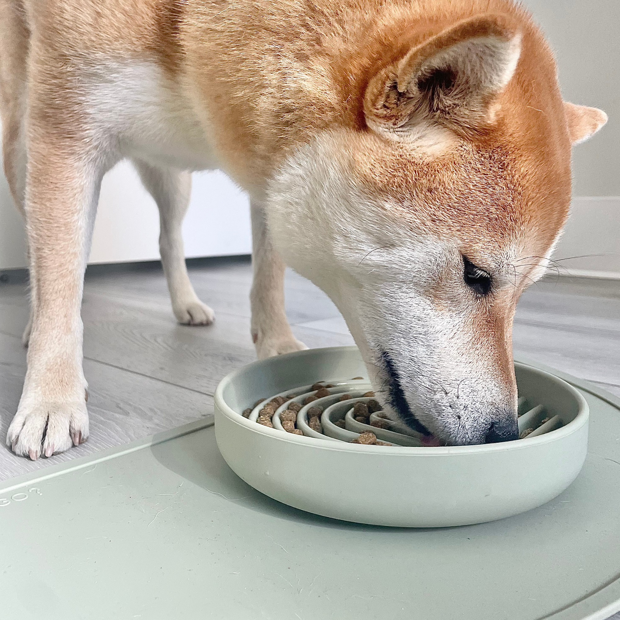 The Slowdown Bowl: Slow Feeder & Lick Mat