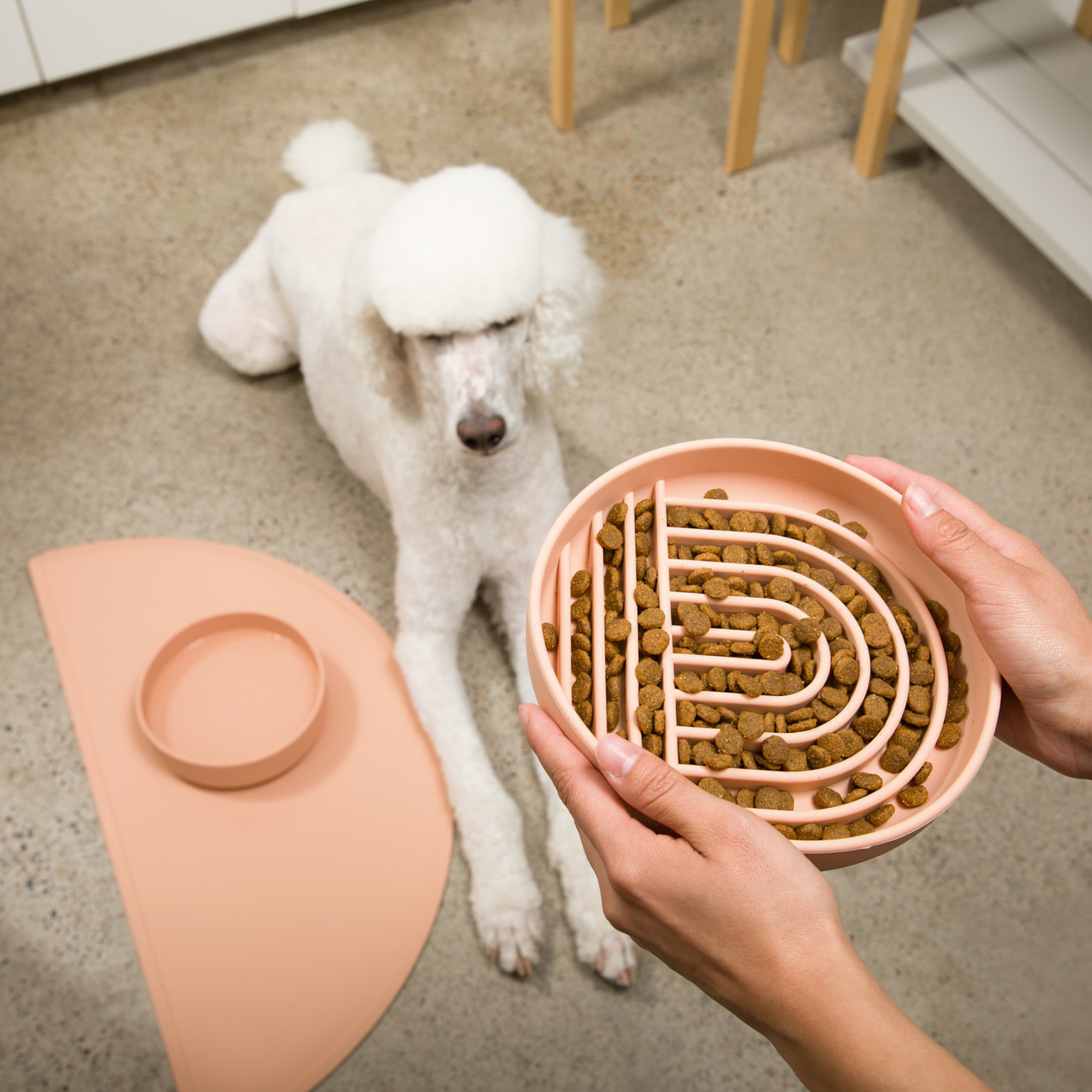 The Medium Slow Feeding Set