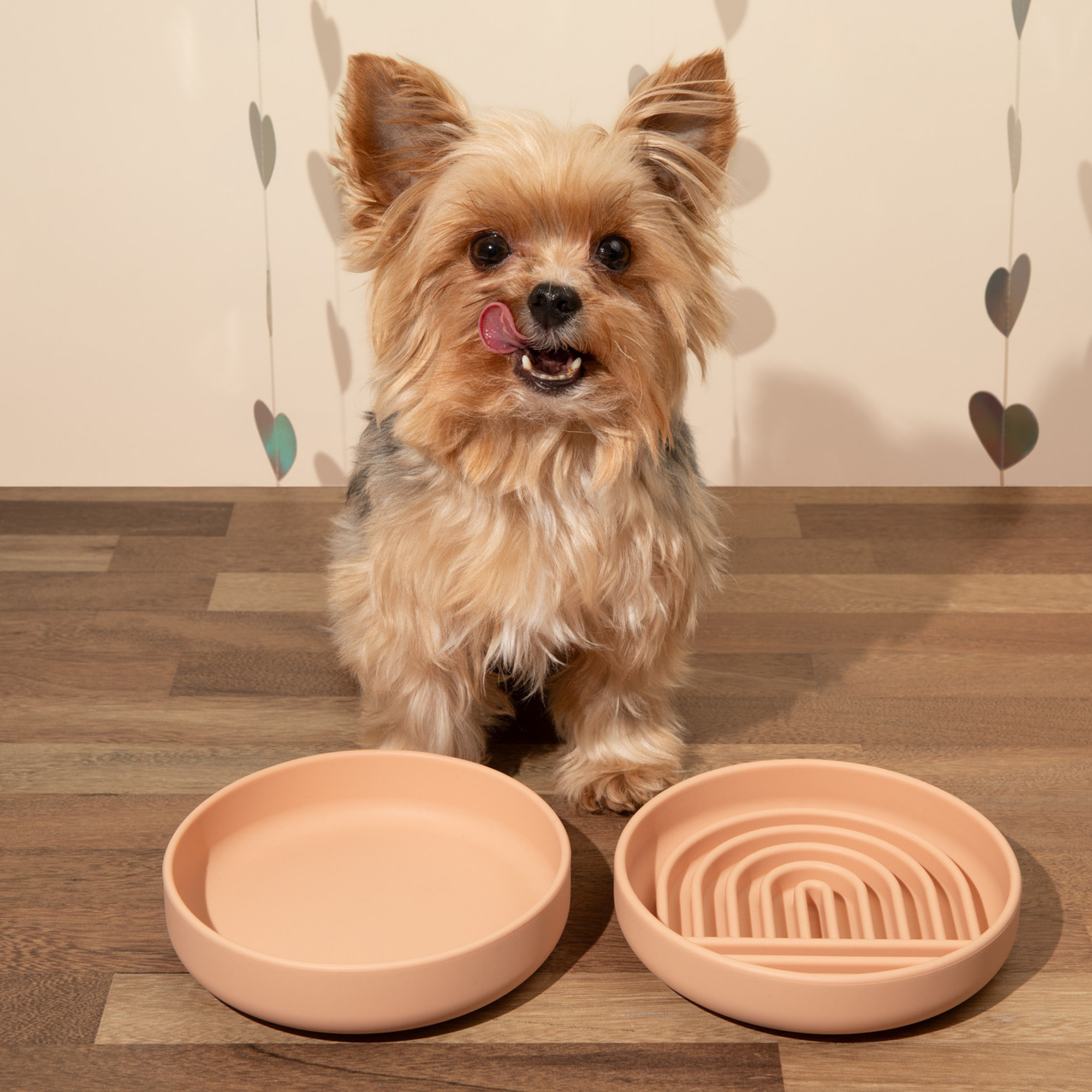 The Medium Slow Feeding Set