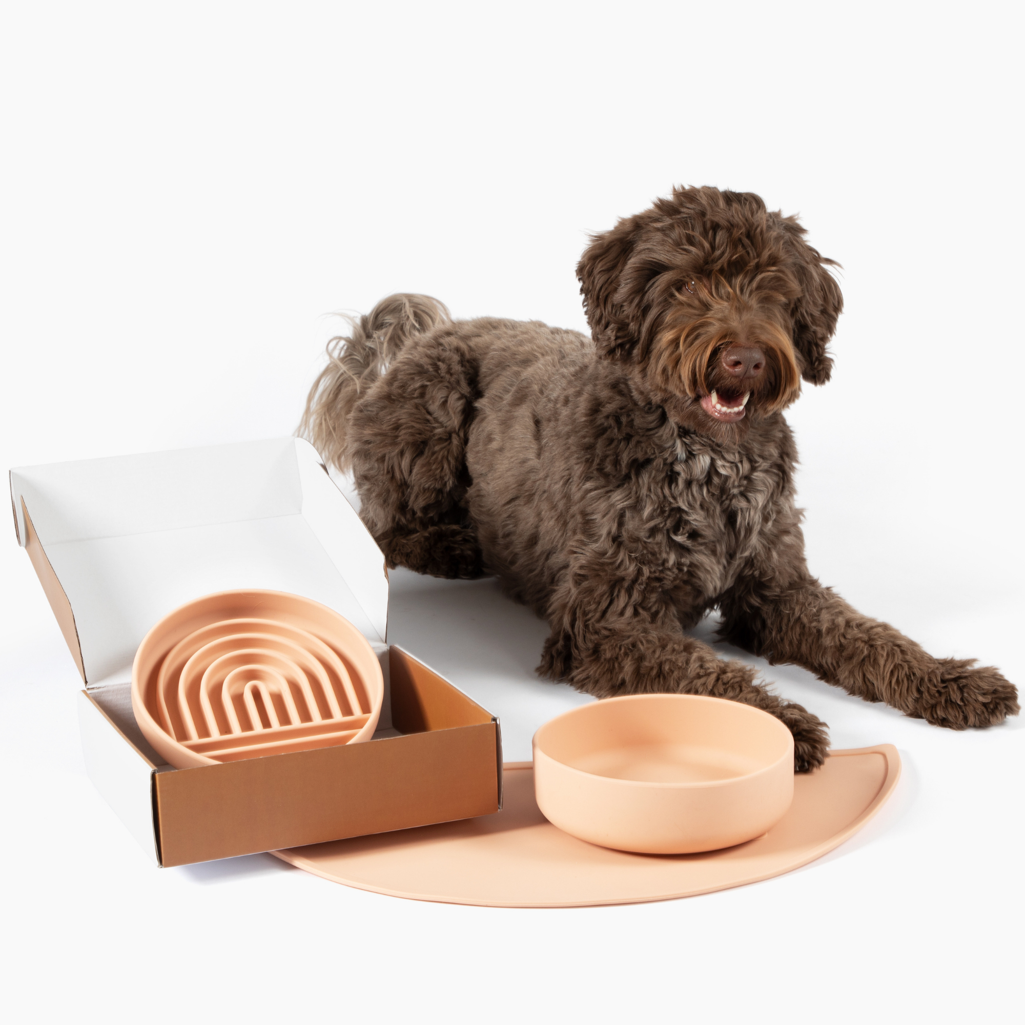 The Medium Slow Feeding Set