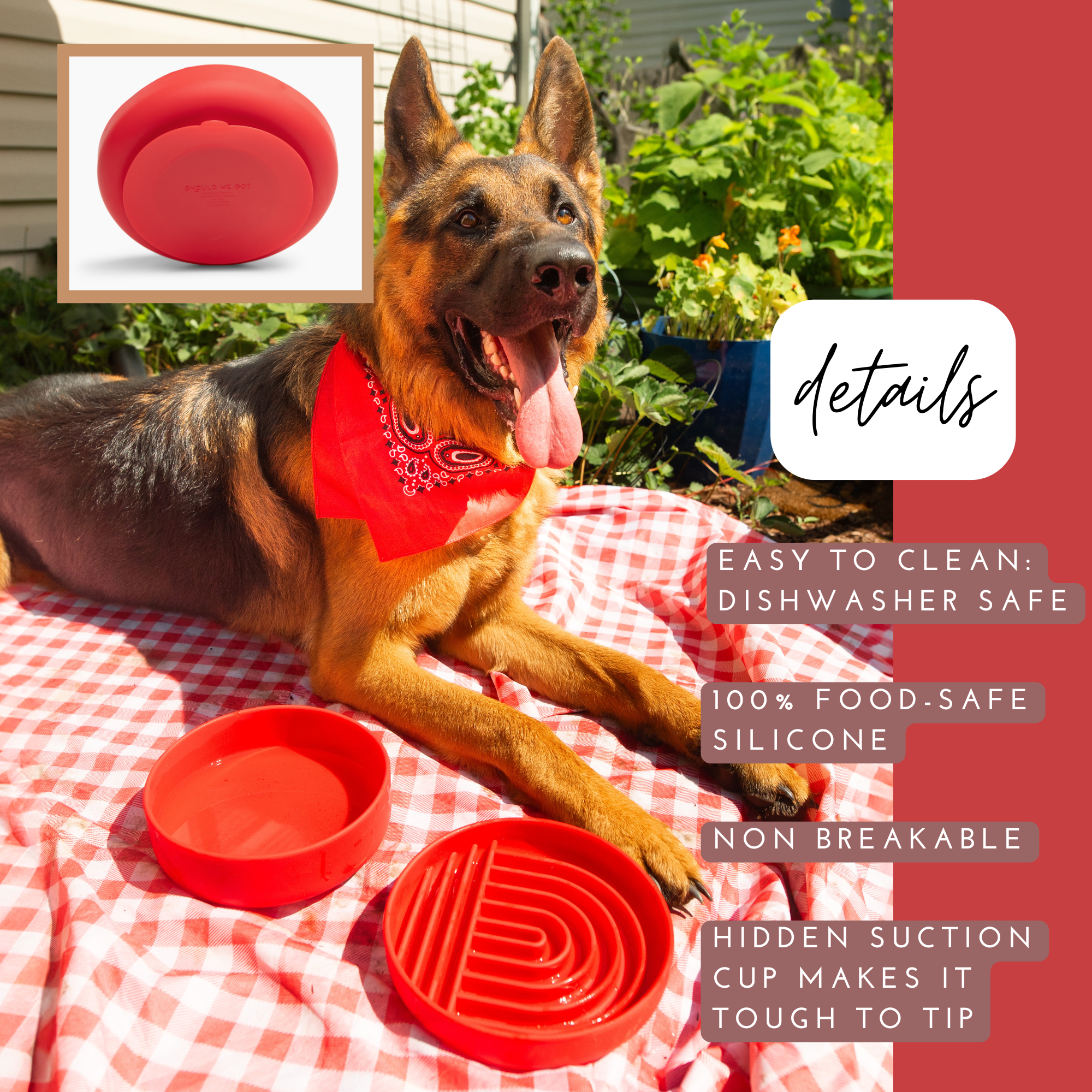 The Perfect Dish