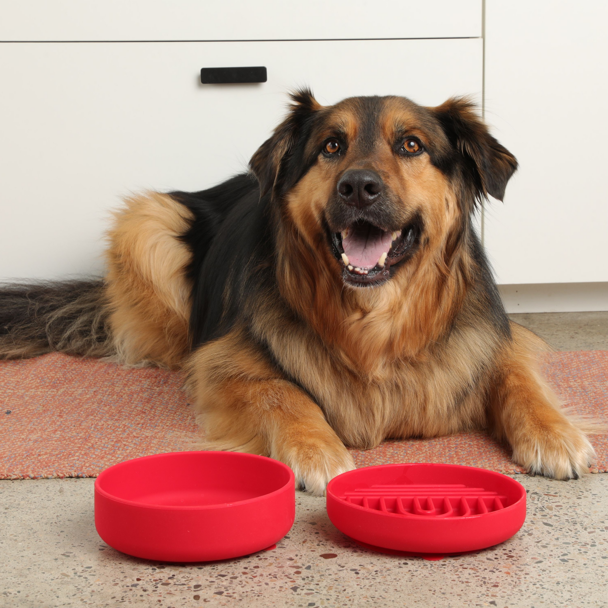 The Slowdown Bowl: Slow Feeder & Lick Mat