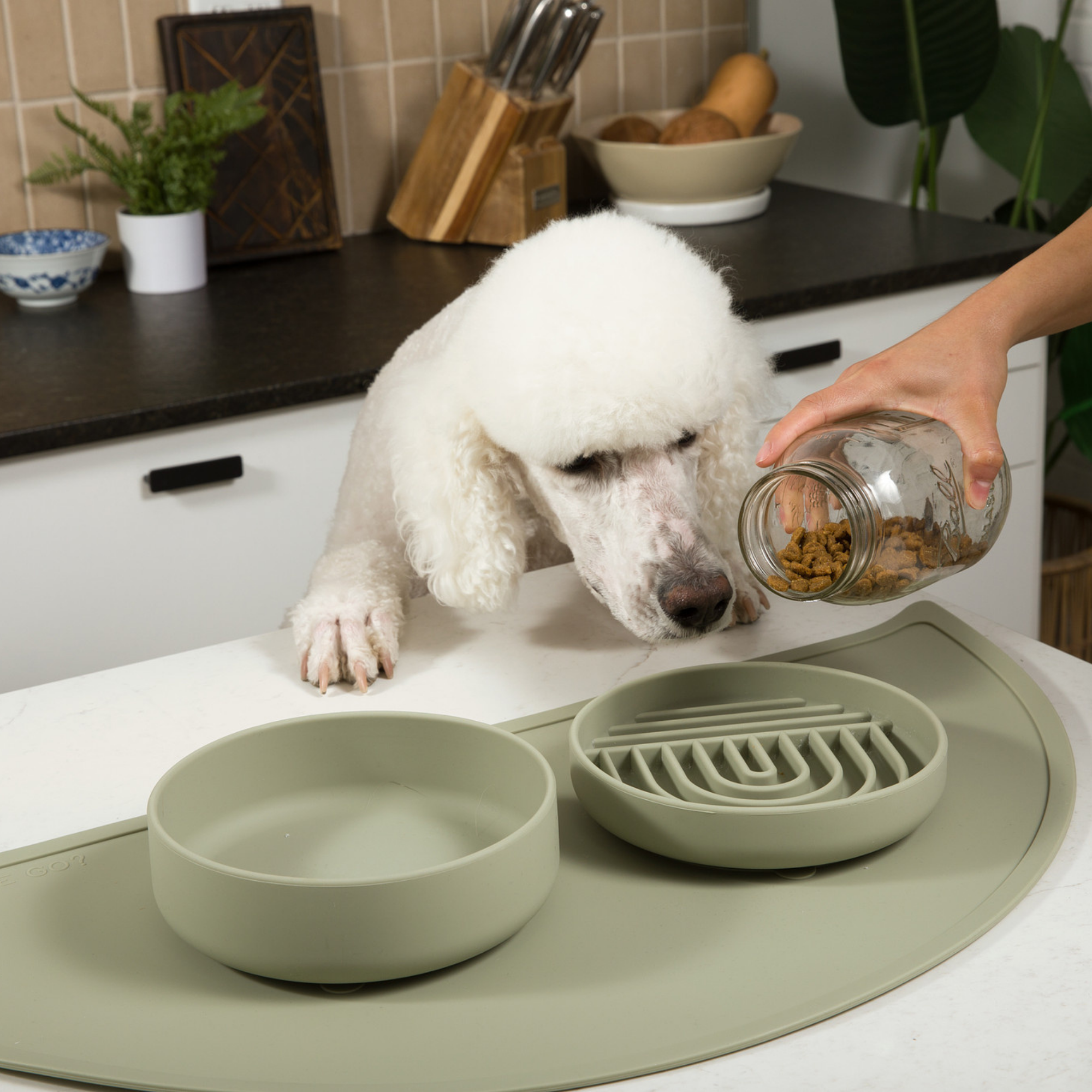 The Small Slow Feeding Set
