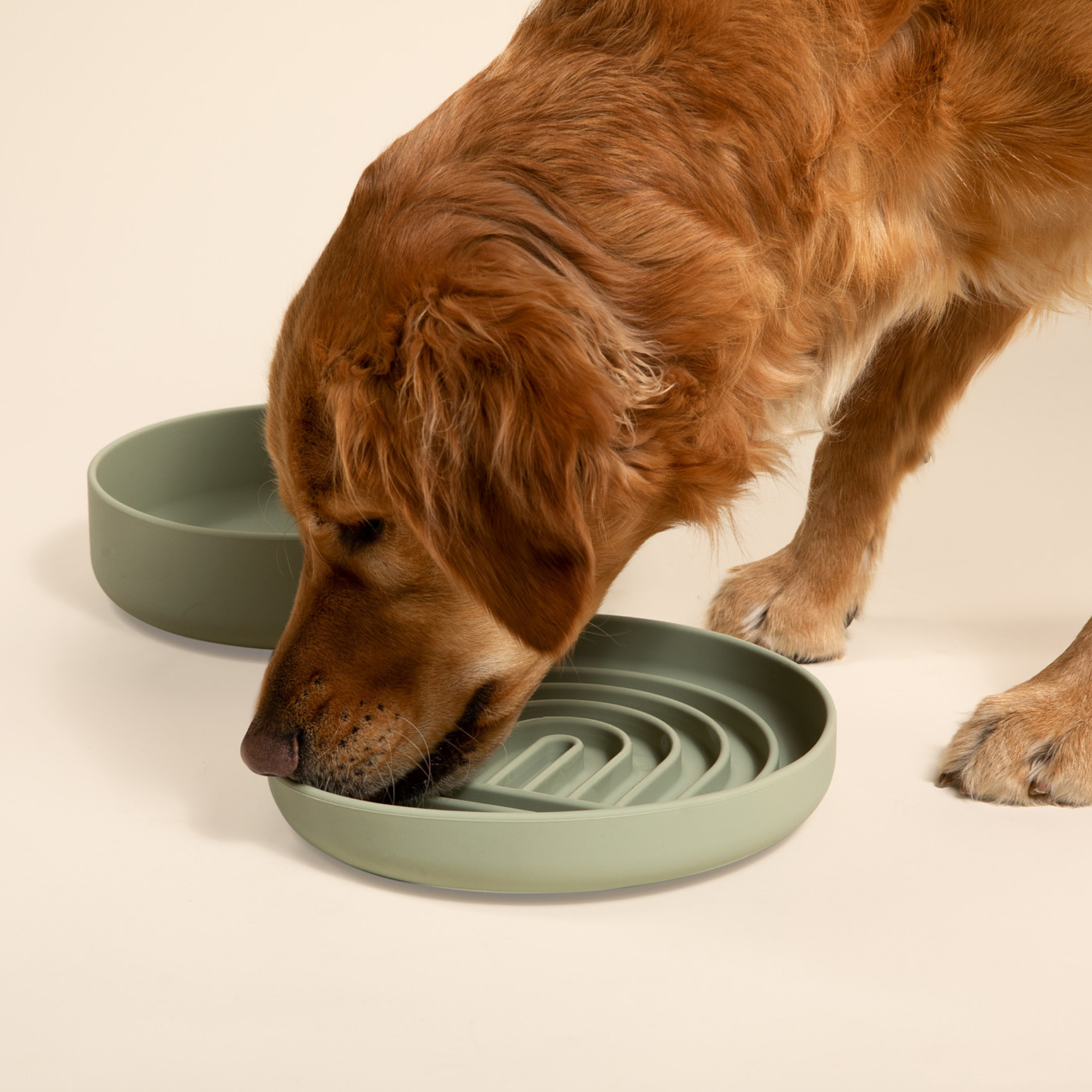 The Small Slow Feeding Set