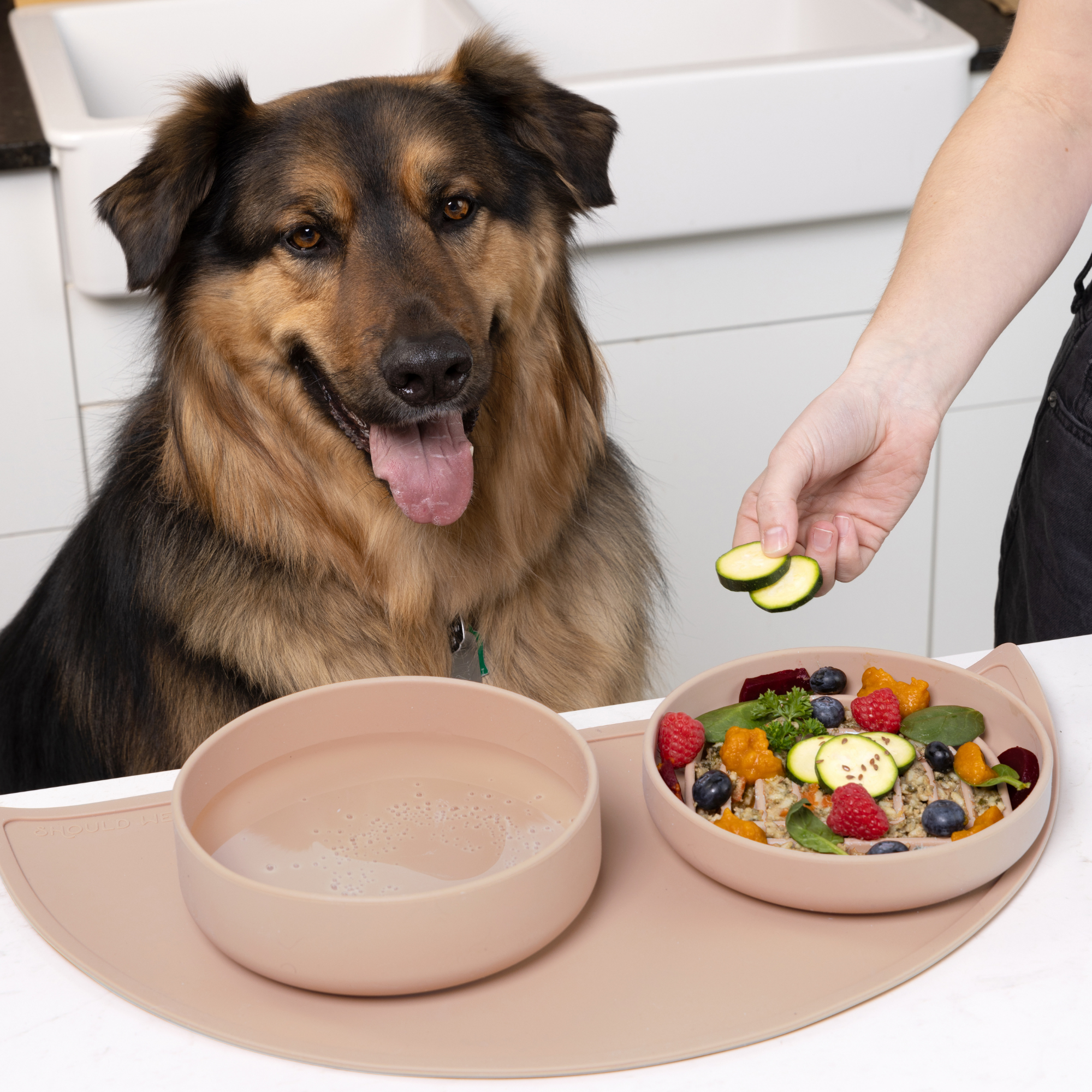 The Perfect Dish