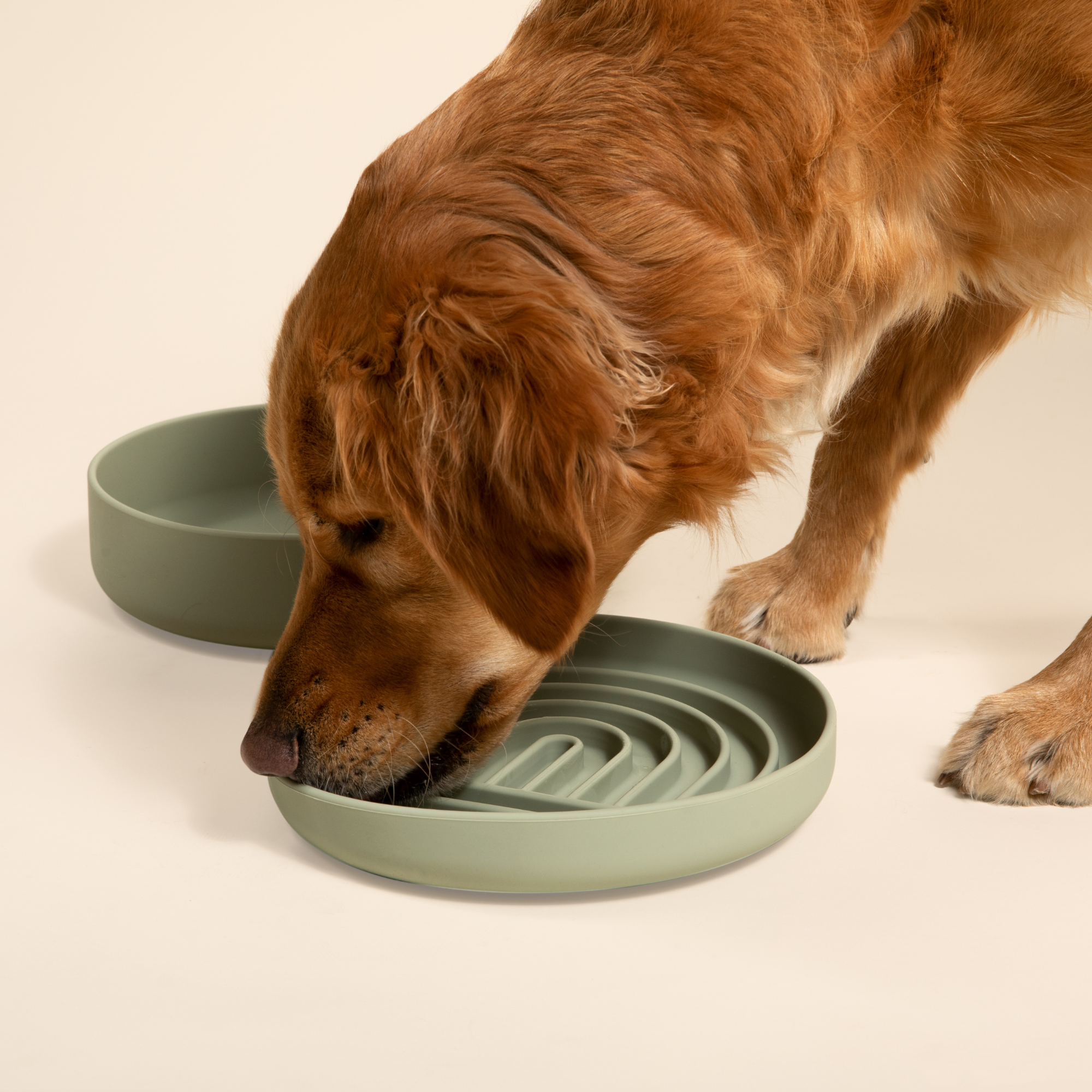 The Slowdown Bowl: Slow Feeder & Lick Mat