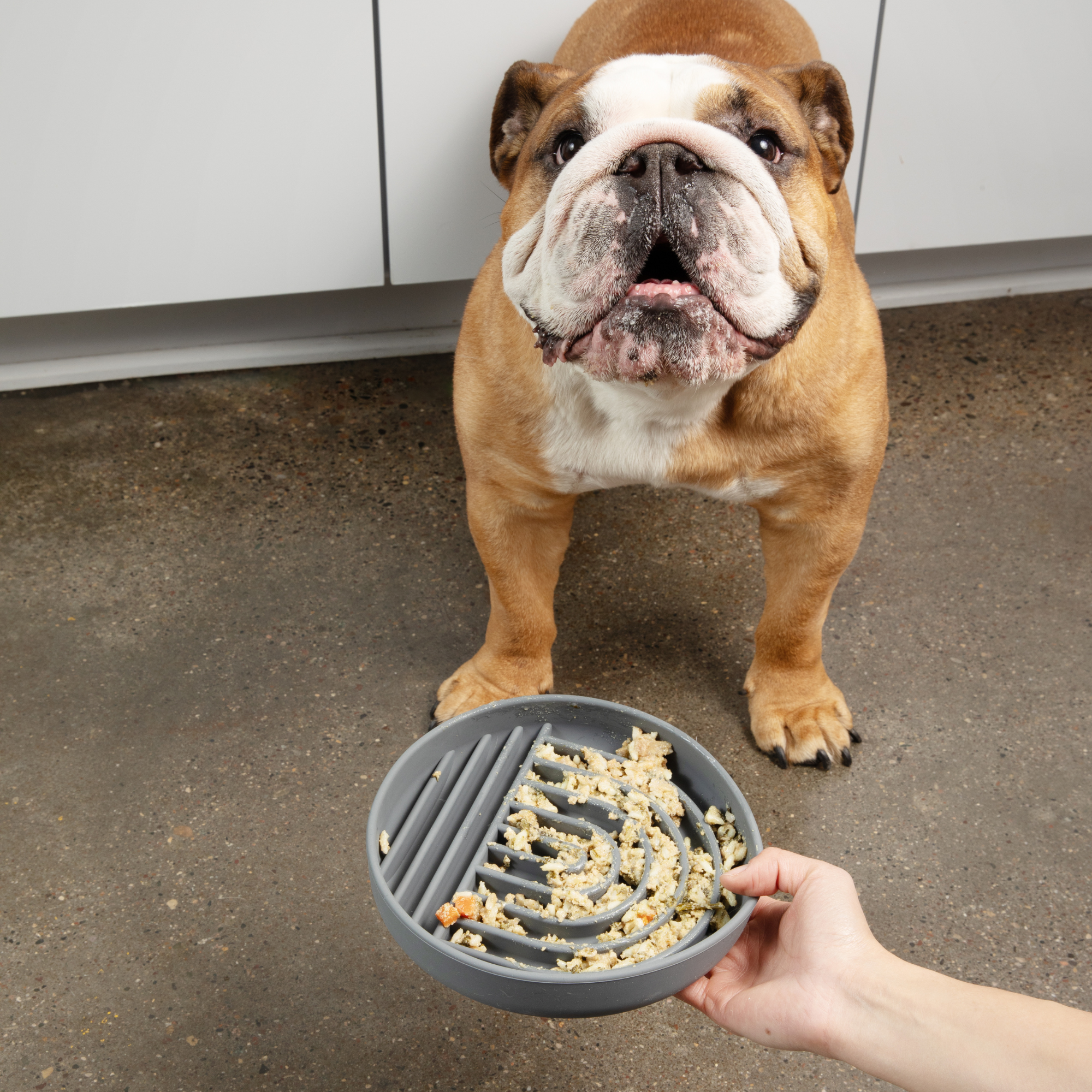 The Large Slow Feeding Set