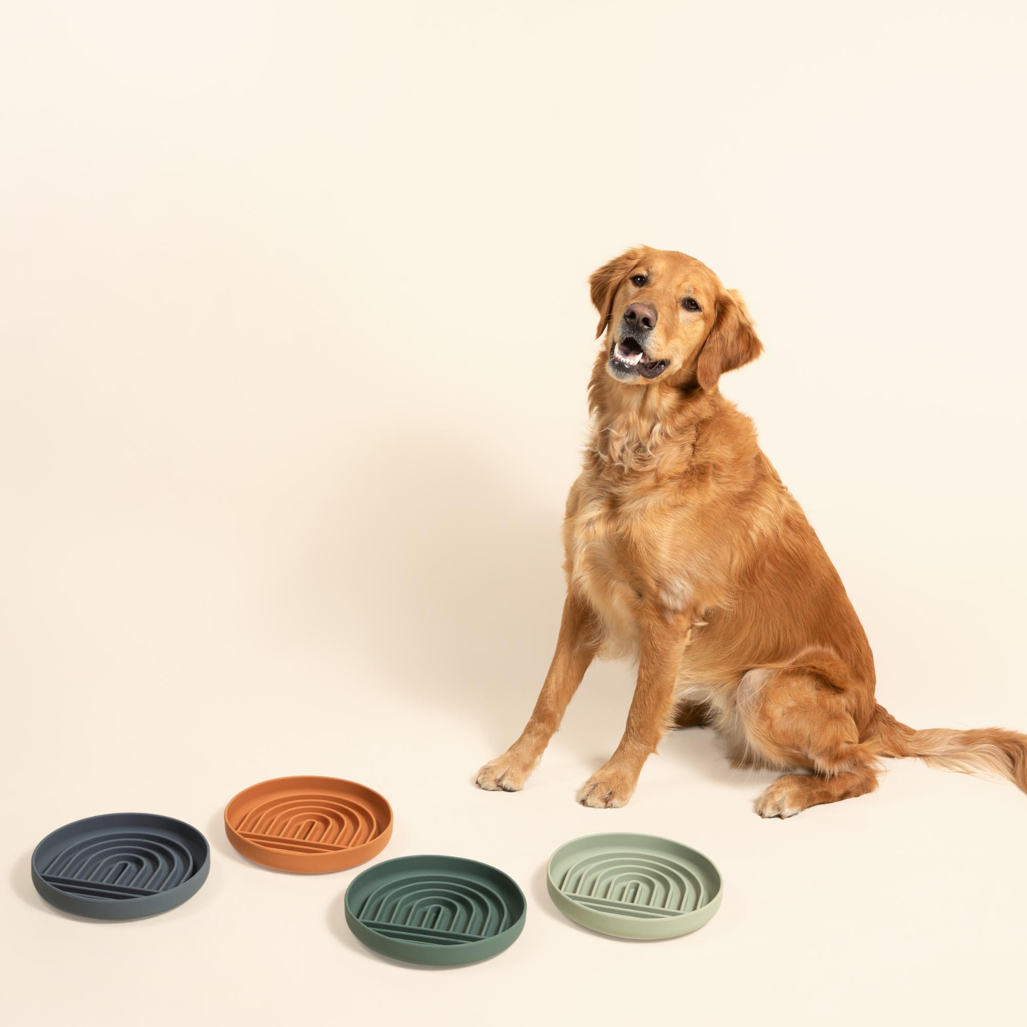 Slow Feeder Bundle: Buy 3 And Save