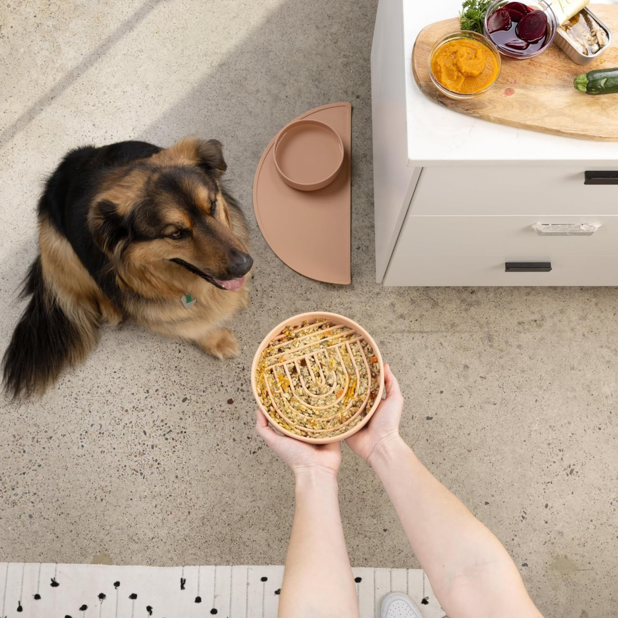 The Slowdown Bowl: Slow Feeder & Lick Mat