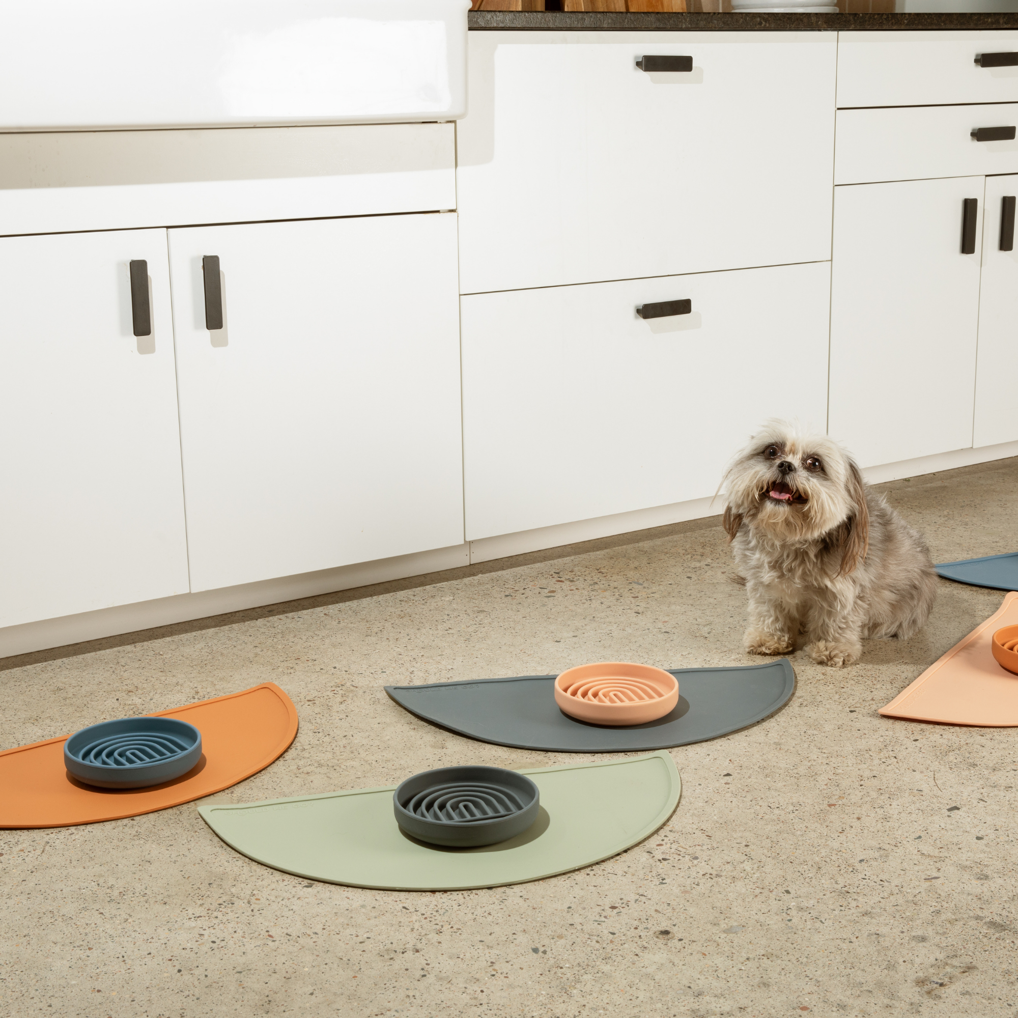 The Slowdown Bowl: Slow Feeder & Lick Mat