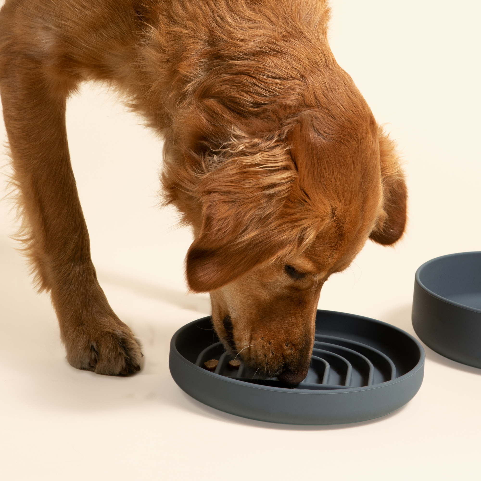The Slowdown Bowl: Slow Feeder & Lick Mat