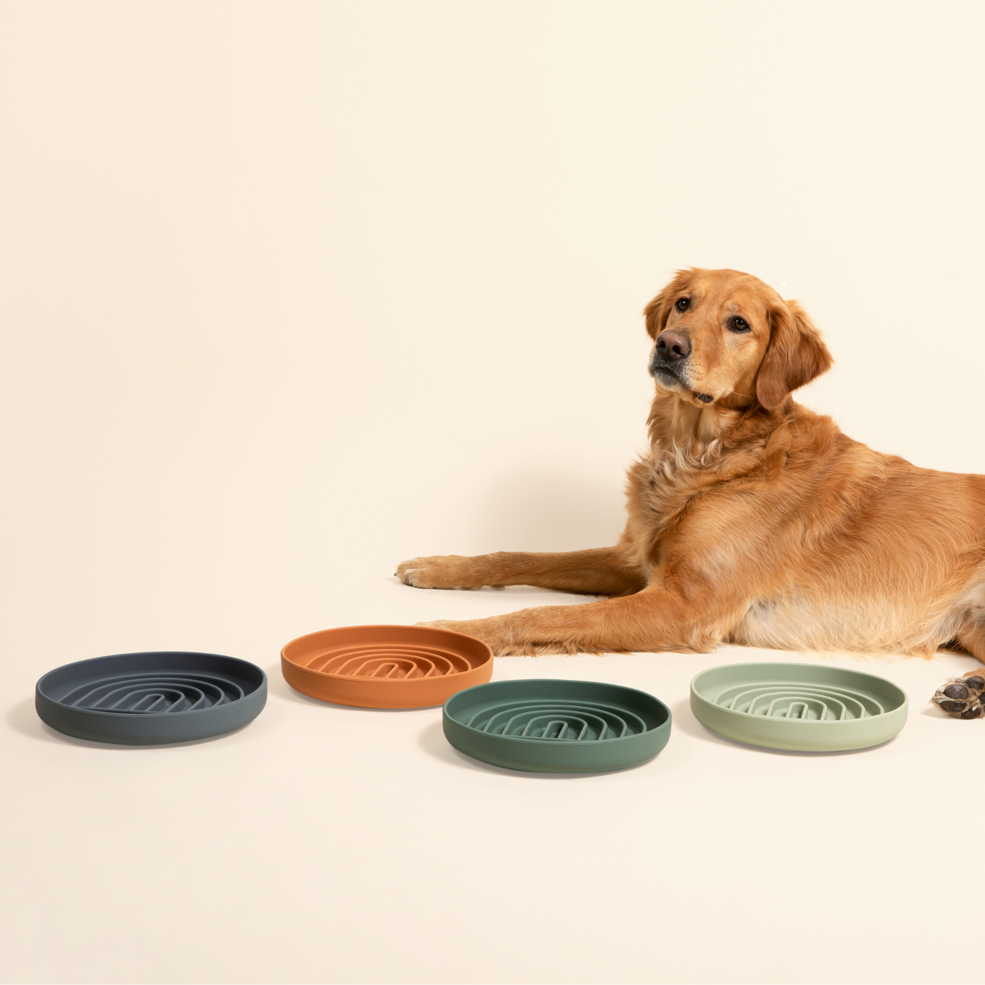 Slow Feeder Bundle: Buy 3 And Save