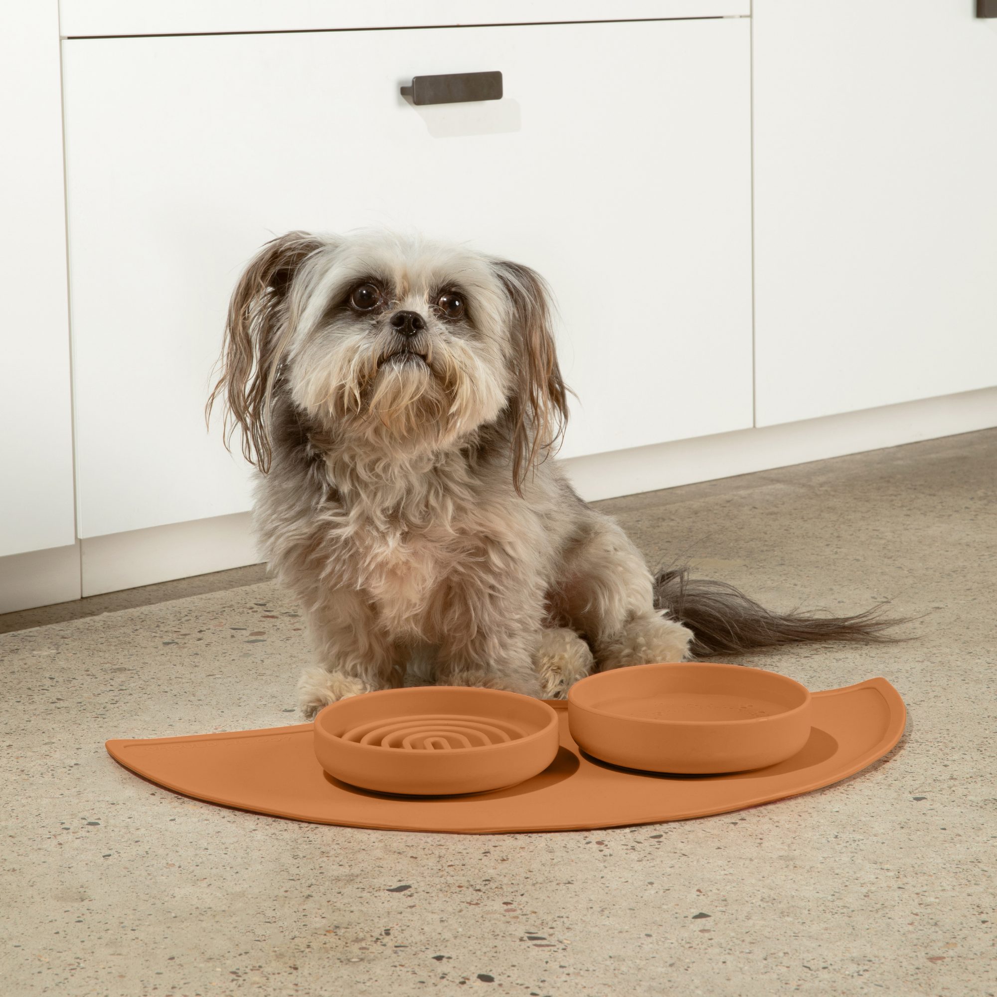 The Slowdown Bowl: Slow Feeder & Lick Mat