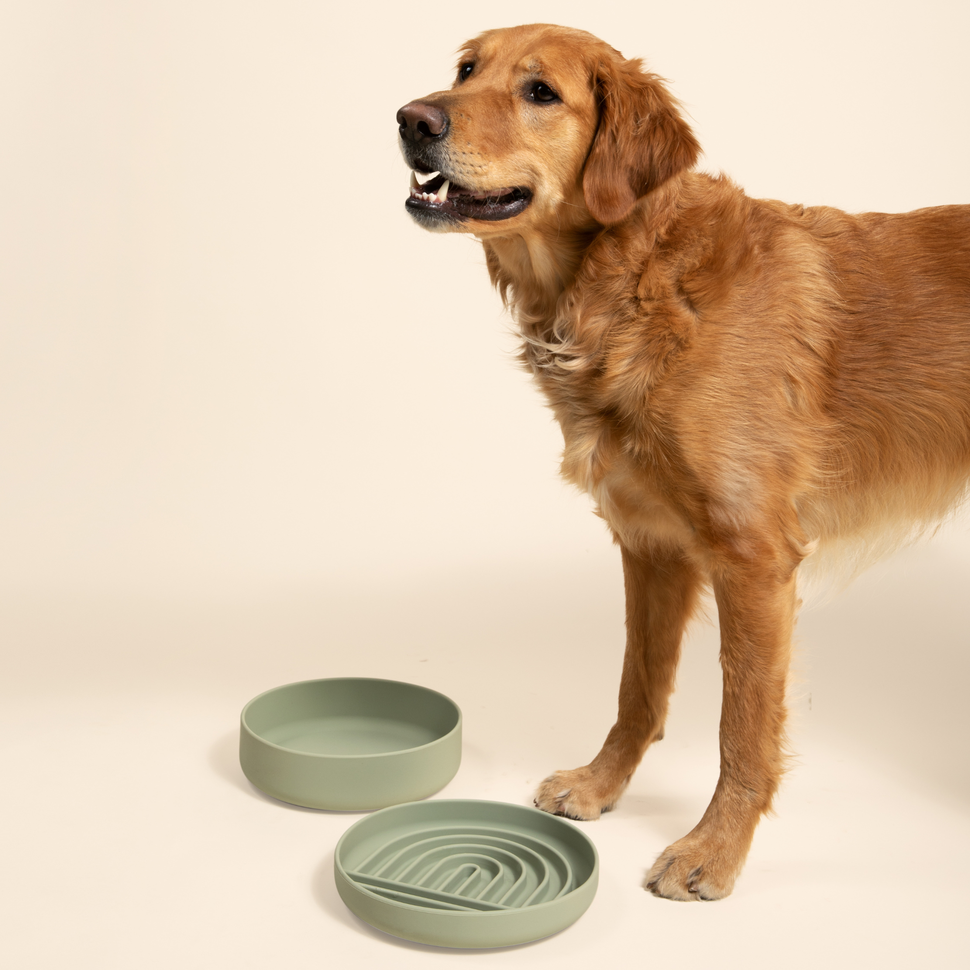 The Slowdown Bowl: Slow Feeder & Lick Mat