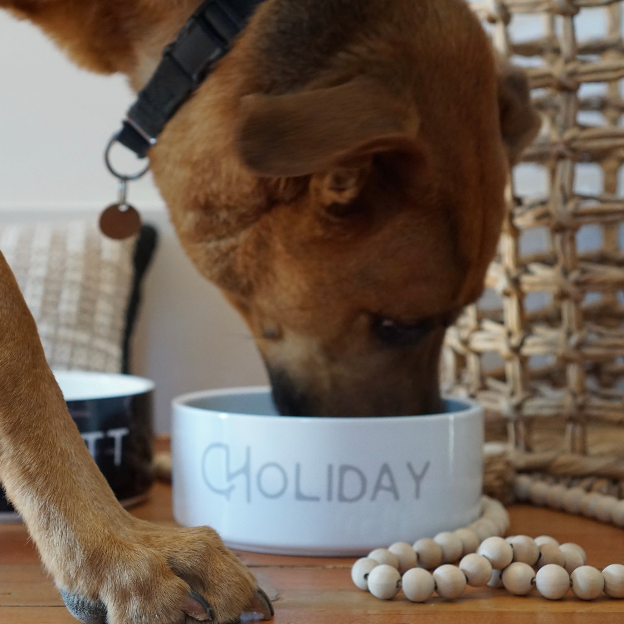 Custom Dog Bowl: Personalized Colors, Fonts, And Name