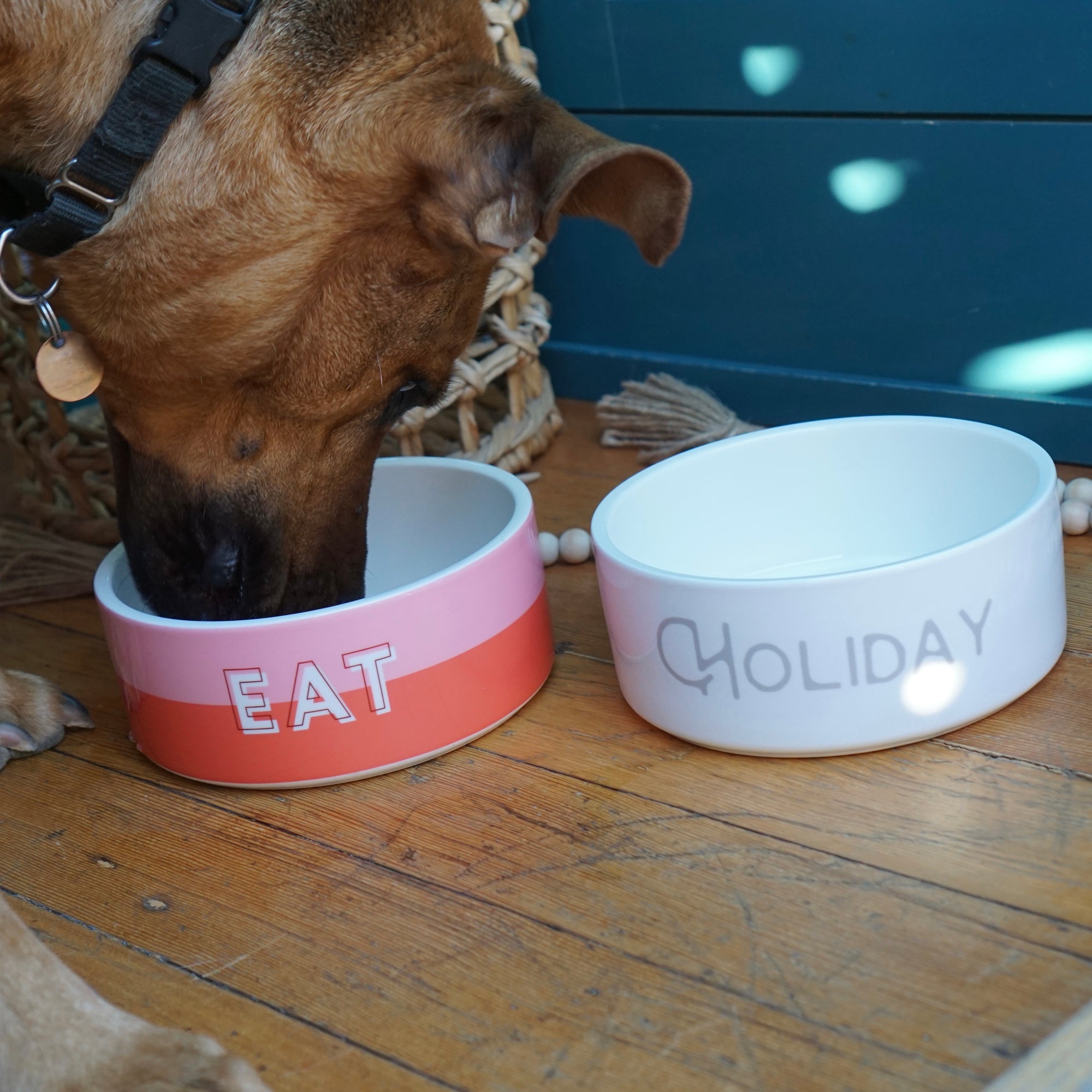 Custom Color Duo Dog Bowl (Coral / Millennial Pink)