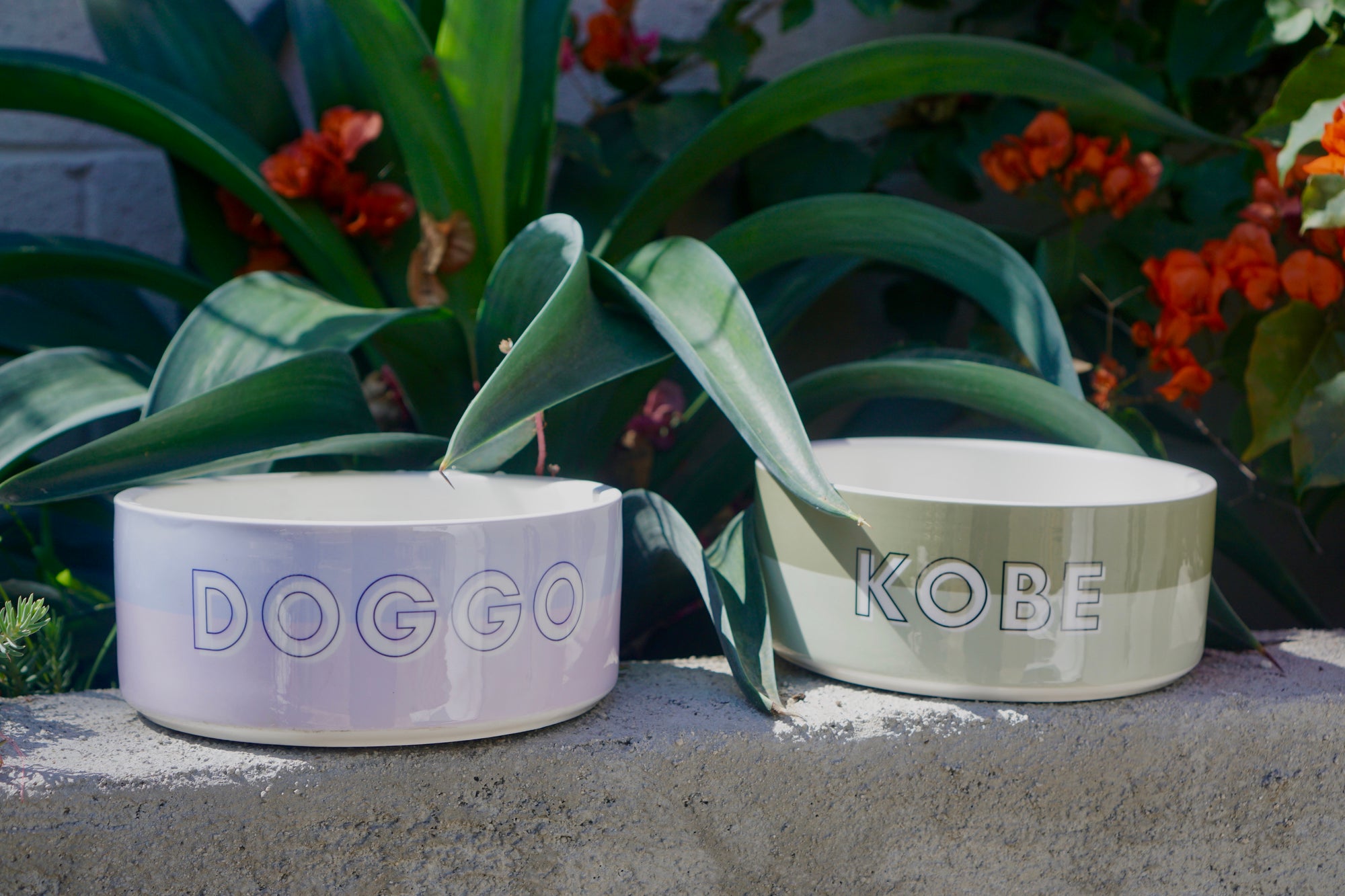 Custom Color Duo Dog Bowl (Sage / Artichoke)