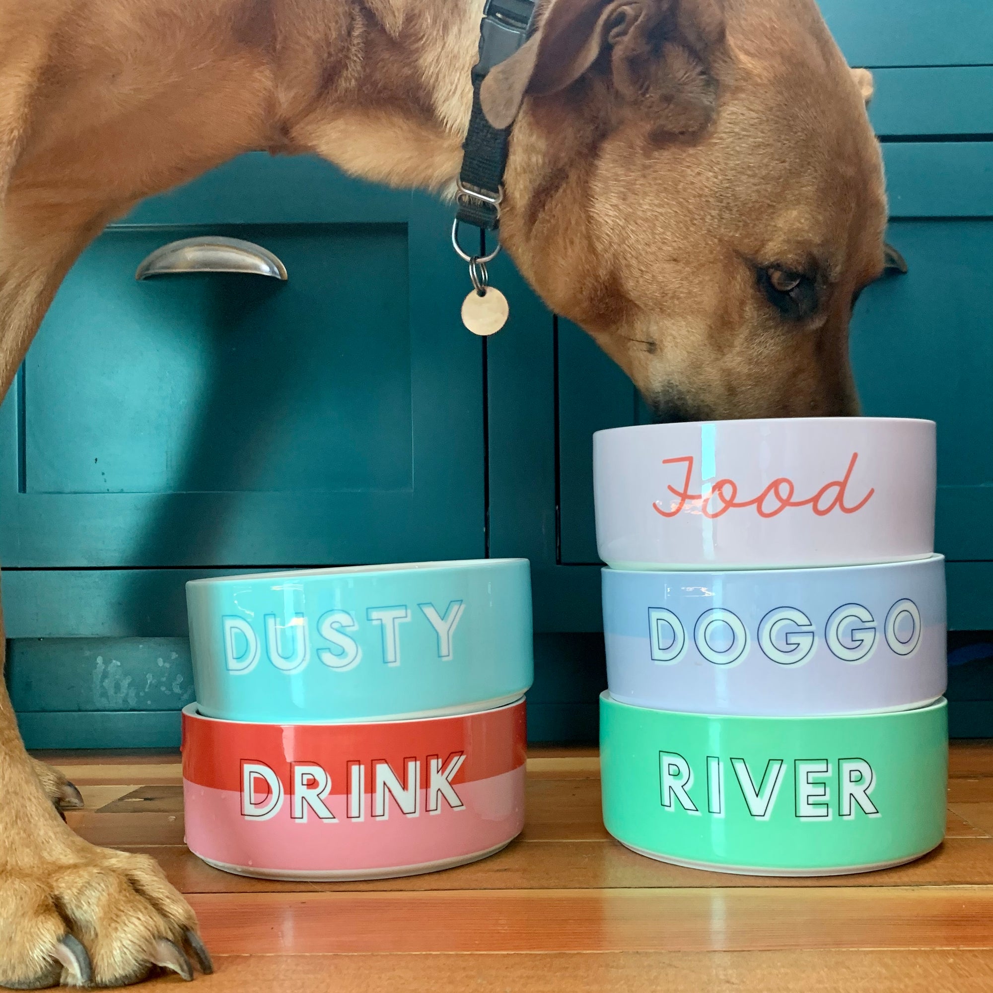 Custom Color Duo Dog Bowl (Coral / Millennial Pink)