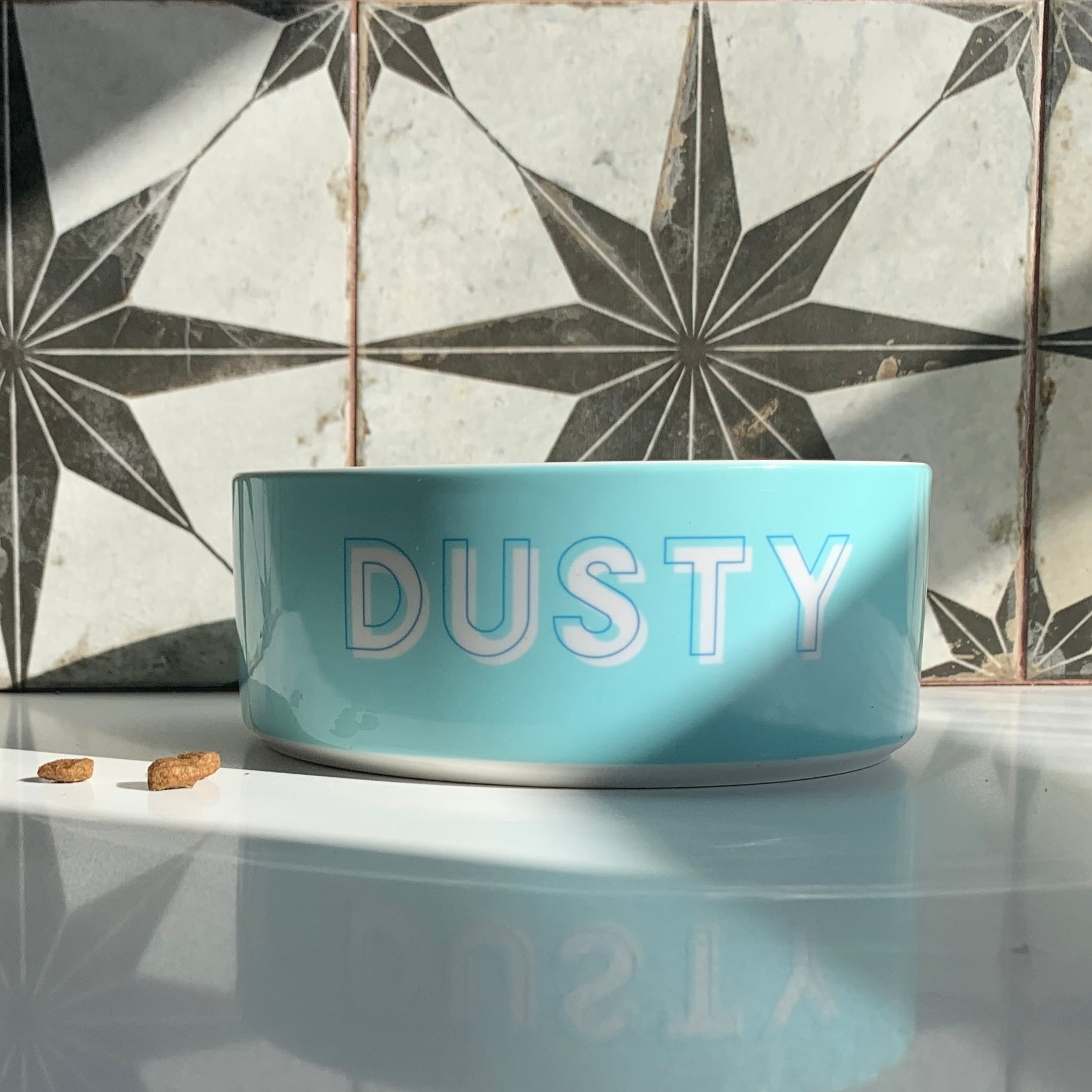 Custom Solid Color Dog Bowl (Arctic Blue)