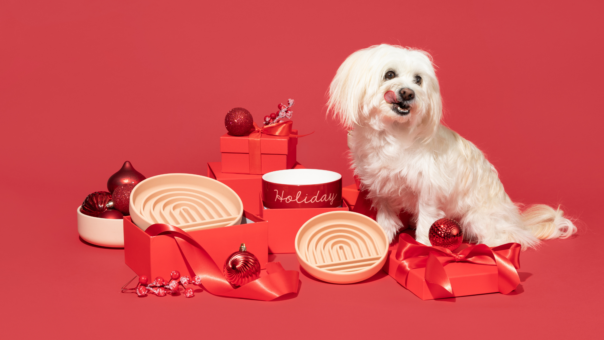 The 12 Days of Holiday Cheer: A Celebration for You and Your Pup!