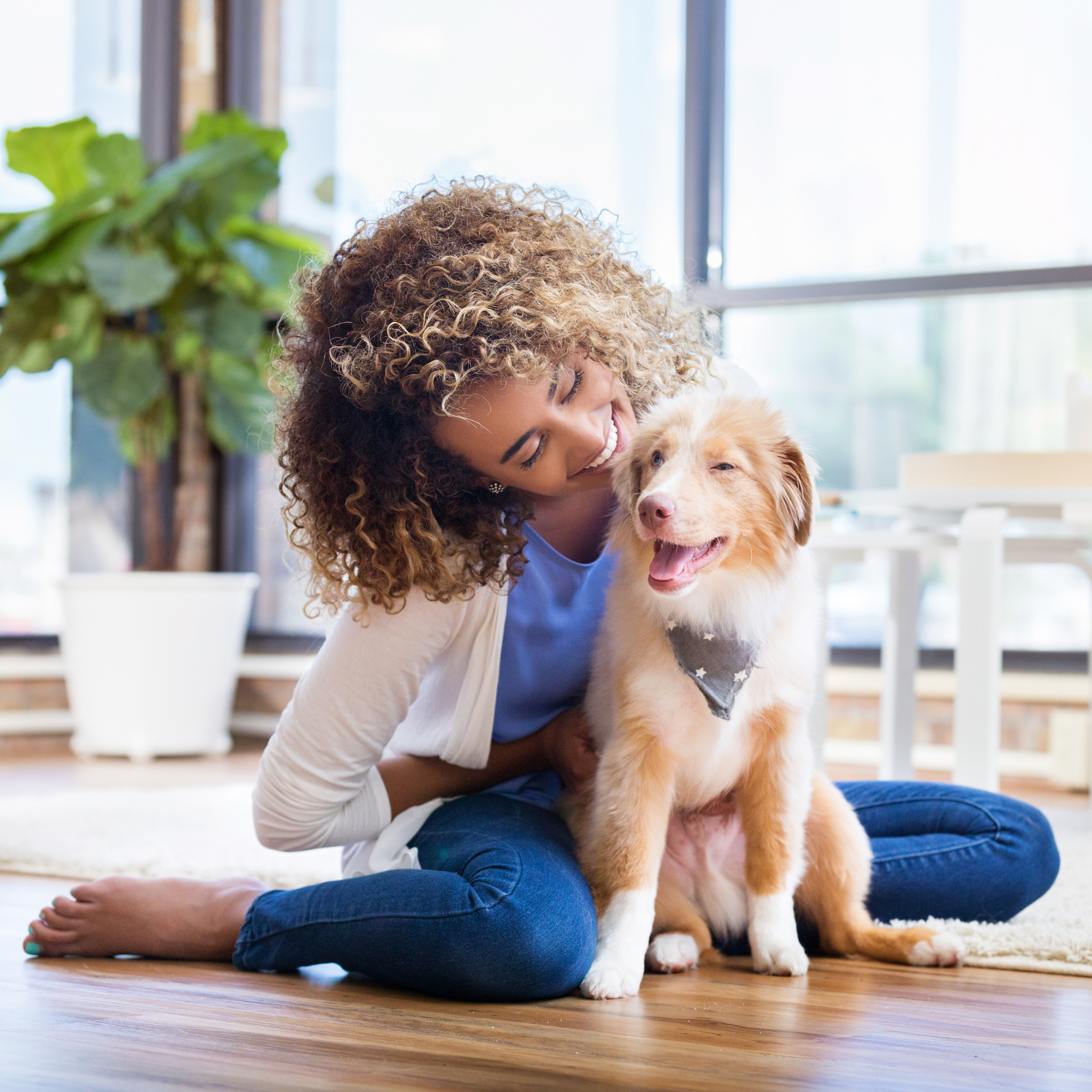 Get Ready! How To Prepare For Your New Puppy [The Ultimate Guide]
