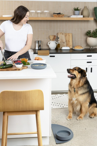 Fish Oil for Dogs: Unlocking the Secret to a Healthier, Happier Pup