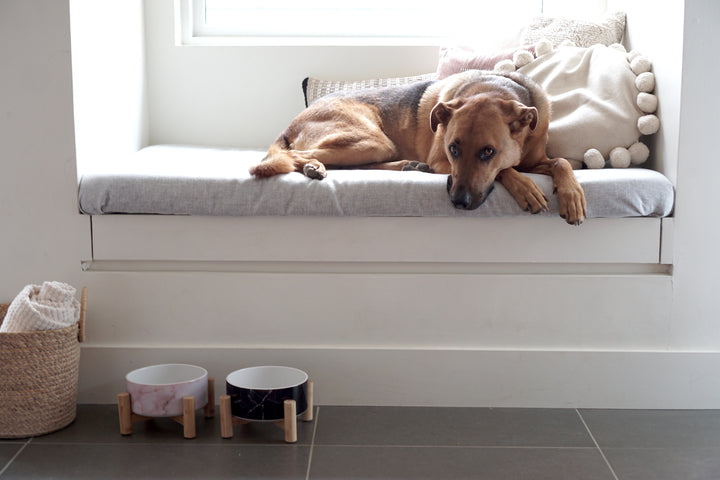 wood dog bowl stand