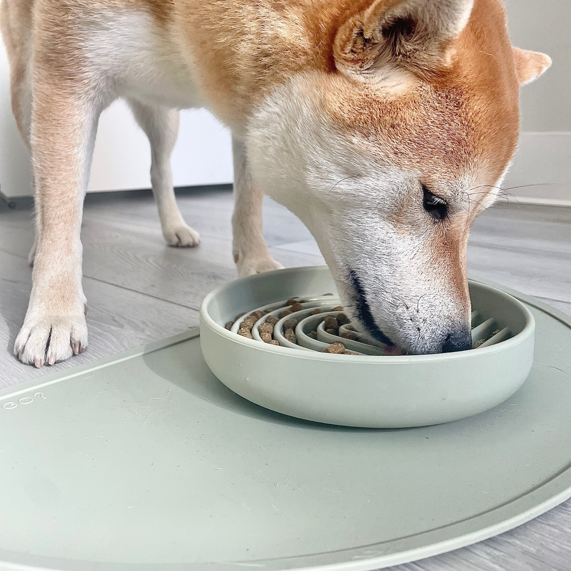 The Medium Half Moon Mat: A Silicone Dog Food Mat
