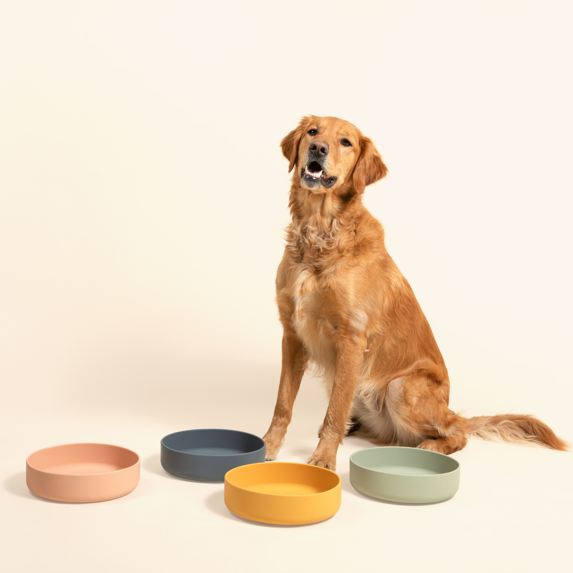 The Large Perfect Dish: Spill-Proof Silicone Pet Bowl