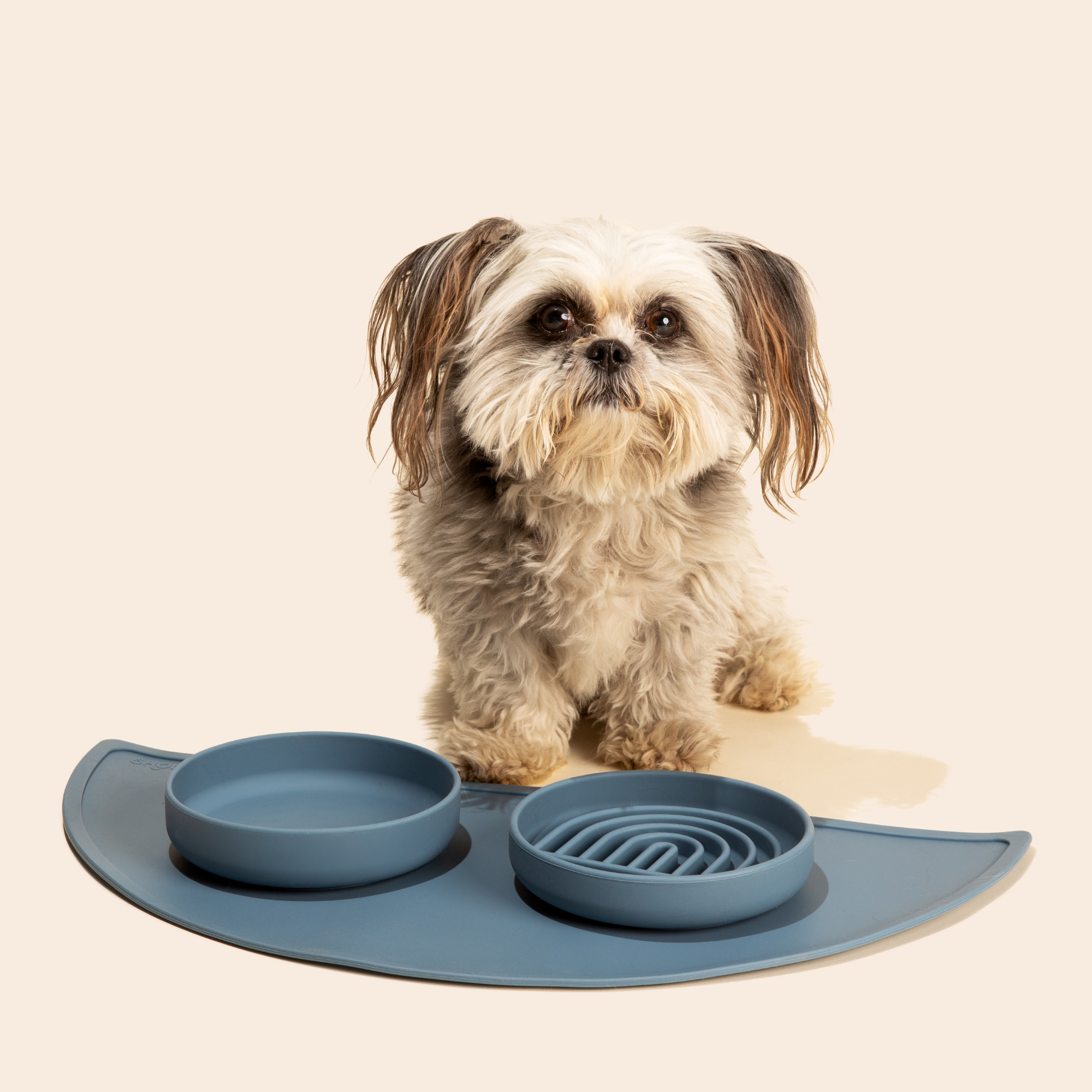 The Small Perfect Dish: Spill-Proof Silicone Pet Bowl