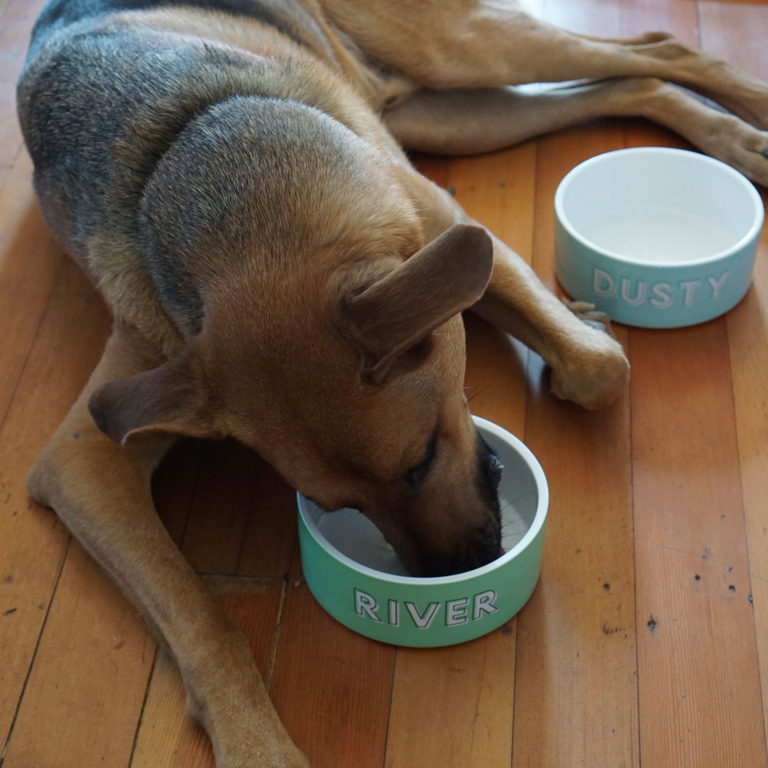 Yeti Boomer 4 Dog Bowl, Bowls & Feeders, Household
