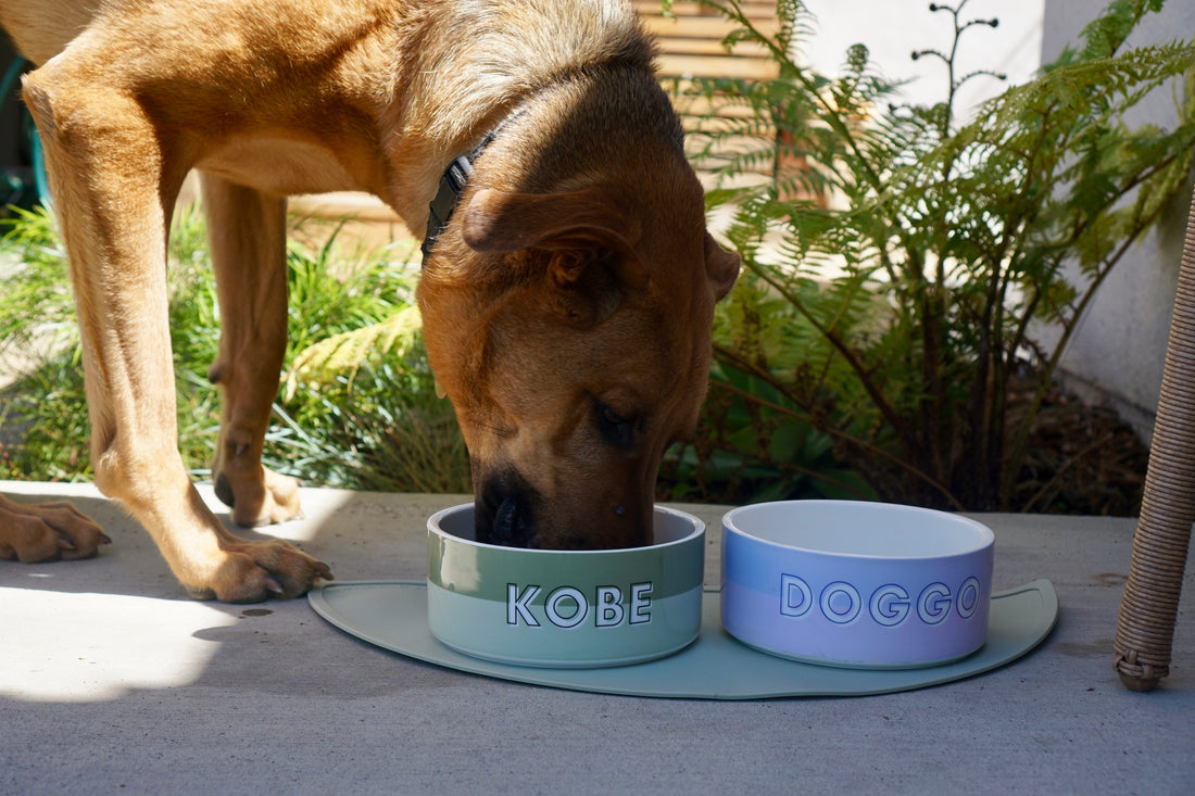 Custom Color Duo Dog Bowl (Sage / Artichoke)