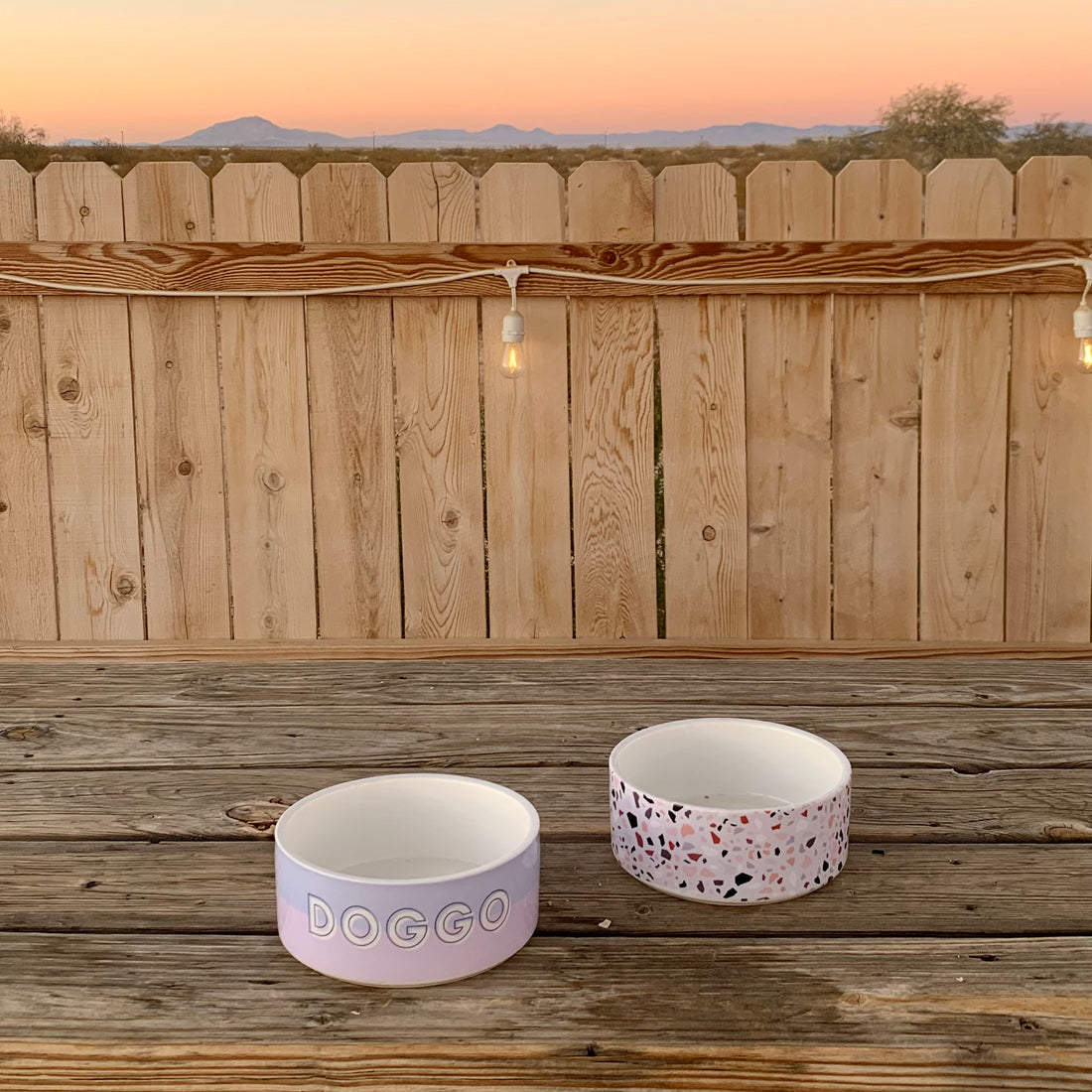 Custom Color Duo Dog Bowl (Periwinkle / Wisteria)
