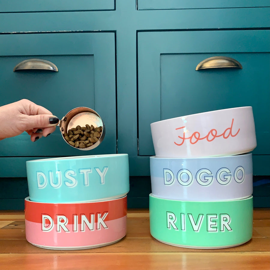 Custom Solid Color Dog Bowl (Mint)
